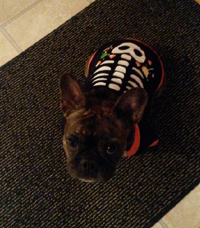 Amber Fallon - Horror Selfies - Skeleton Dog