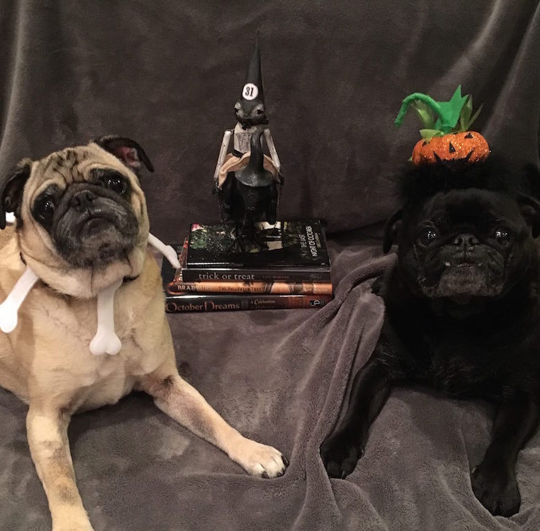 Rena Mason - Horror Selfies - Trick or Treat