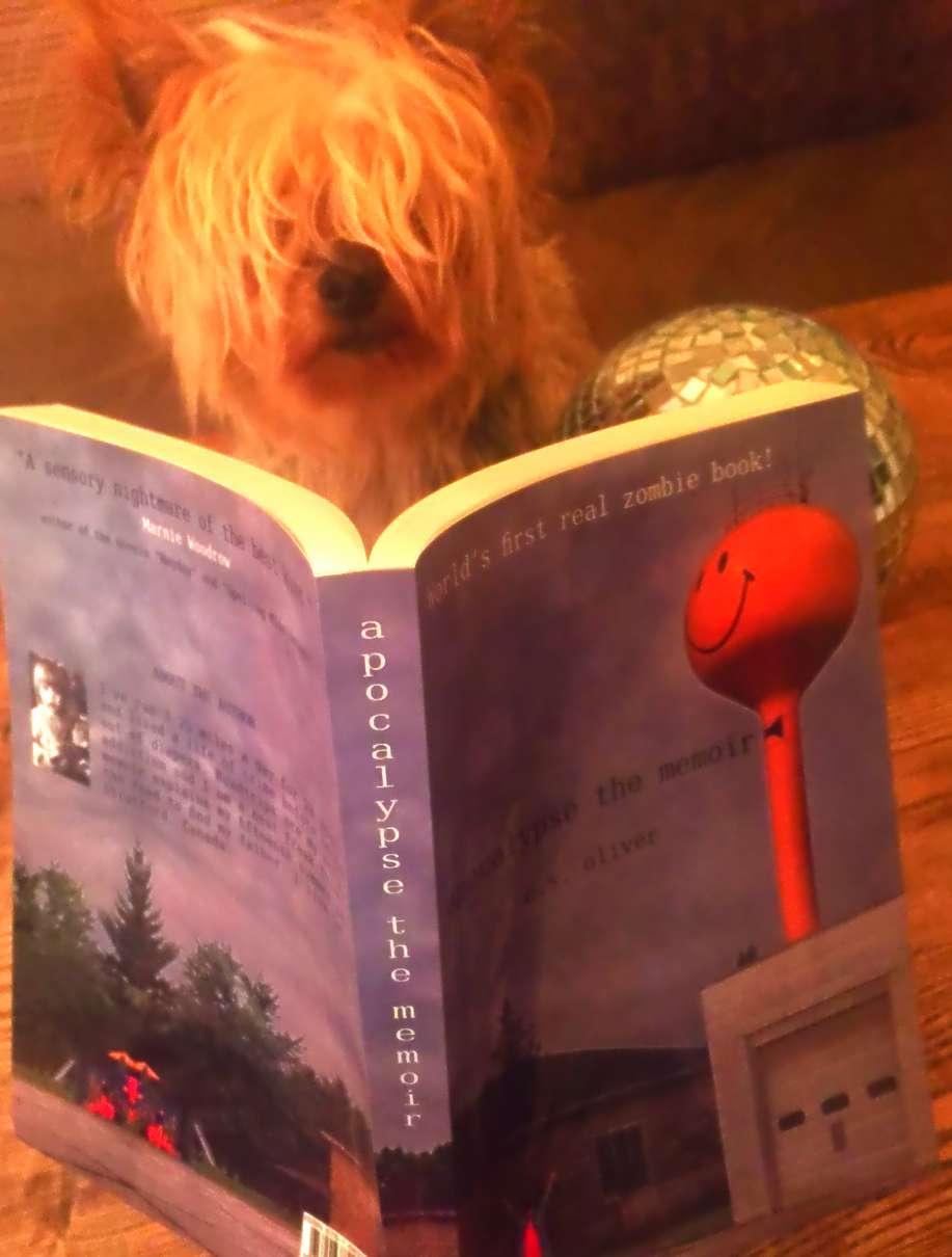 Mikko Karttunen - Horror Selfies - Apocalypse The Memoir