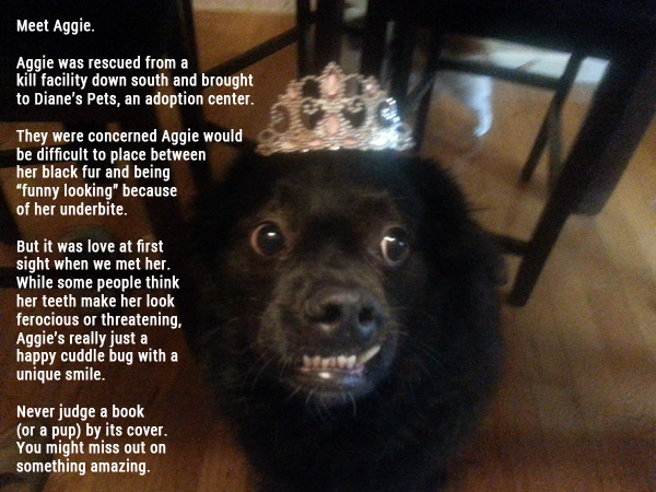 Jenn Mattern - Horror Selfies - Meet Aggie